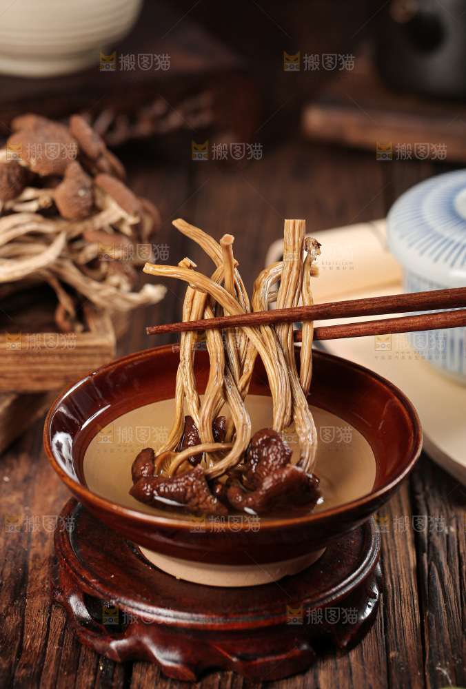 茶树菇
