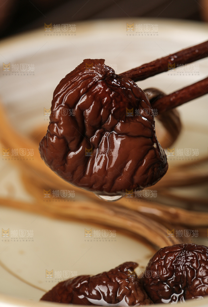 茶树菇