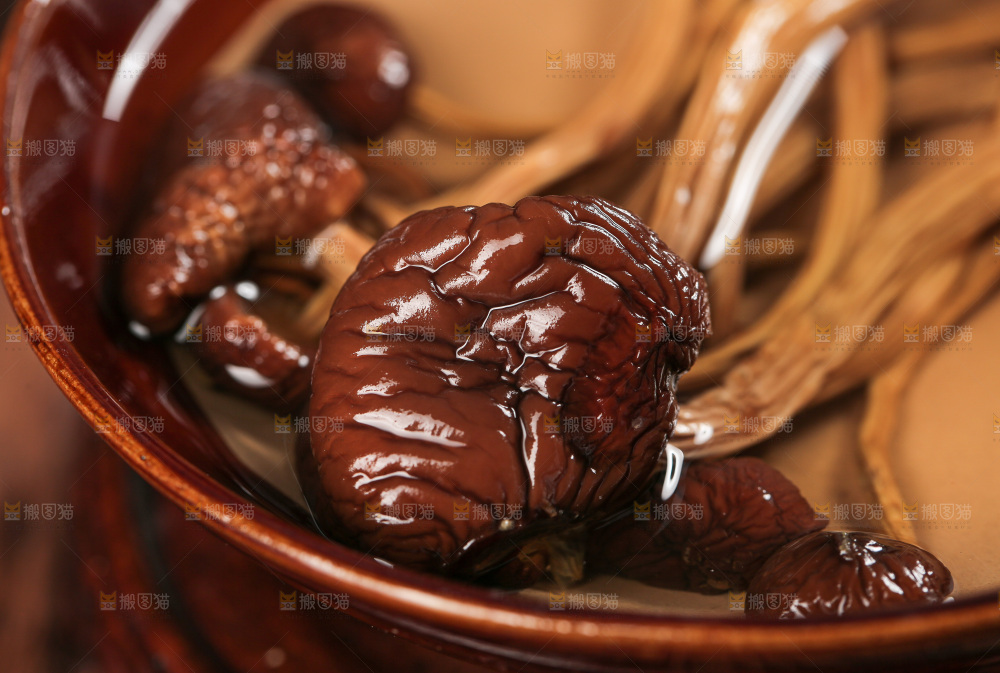 茶树菇