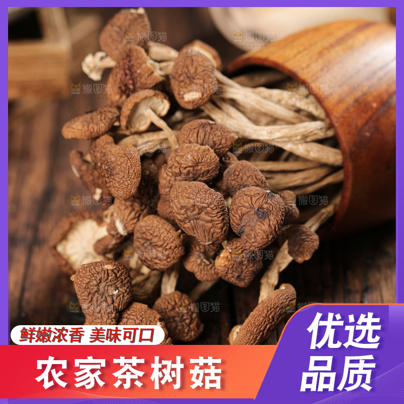 茶树菇