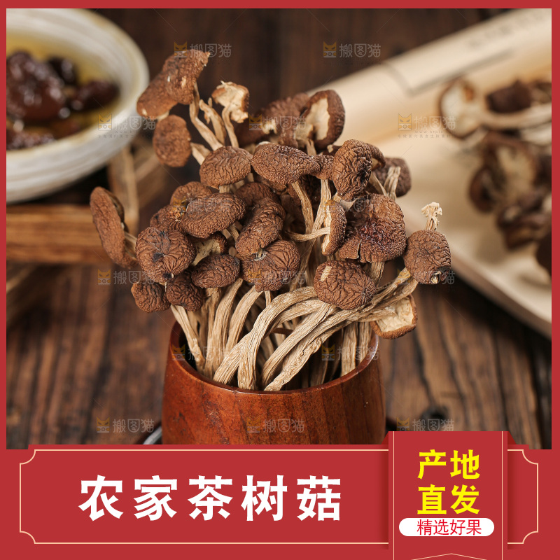 茶树菇