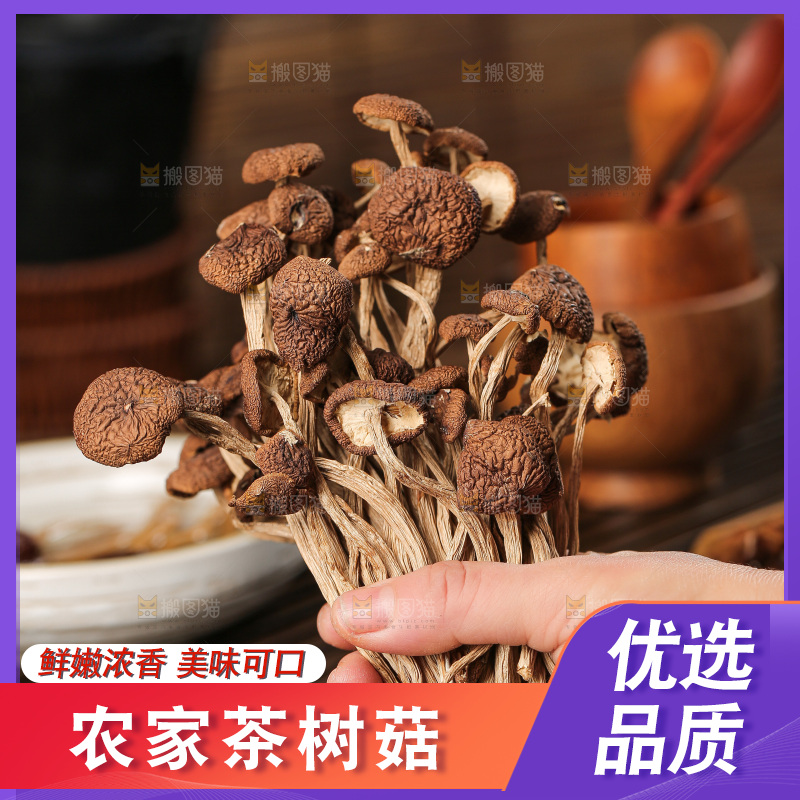 茶树菇