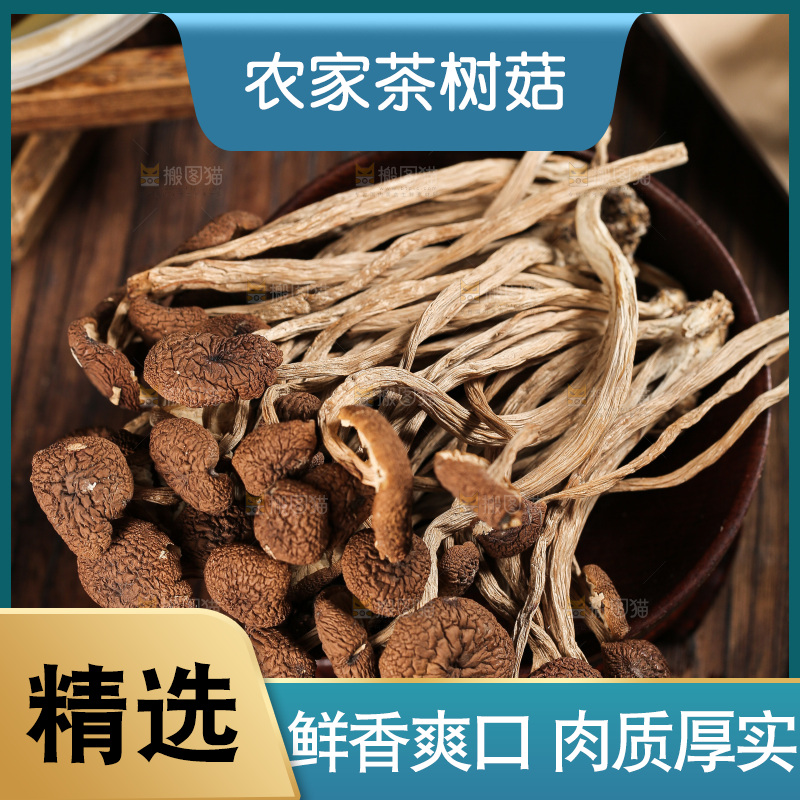 茶树菇