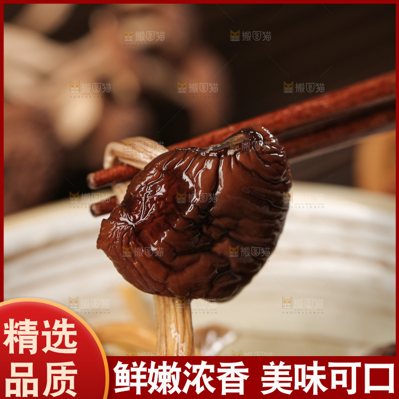 茶树菇