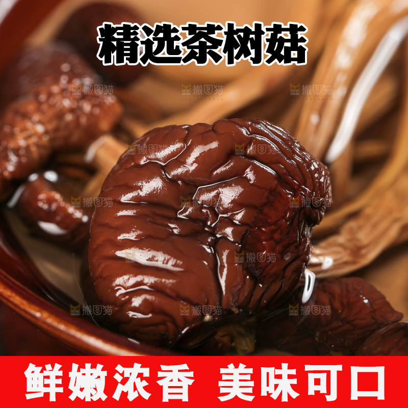 茶树菇