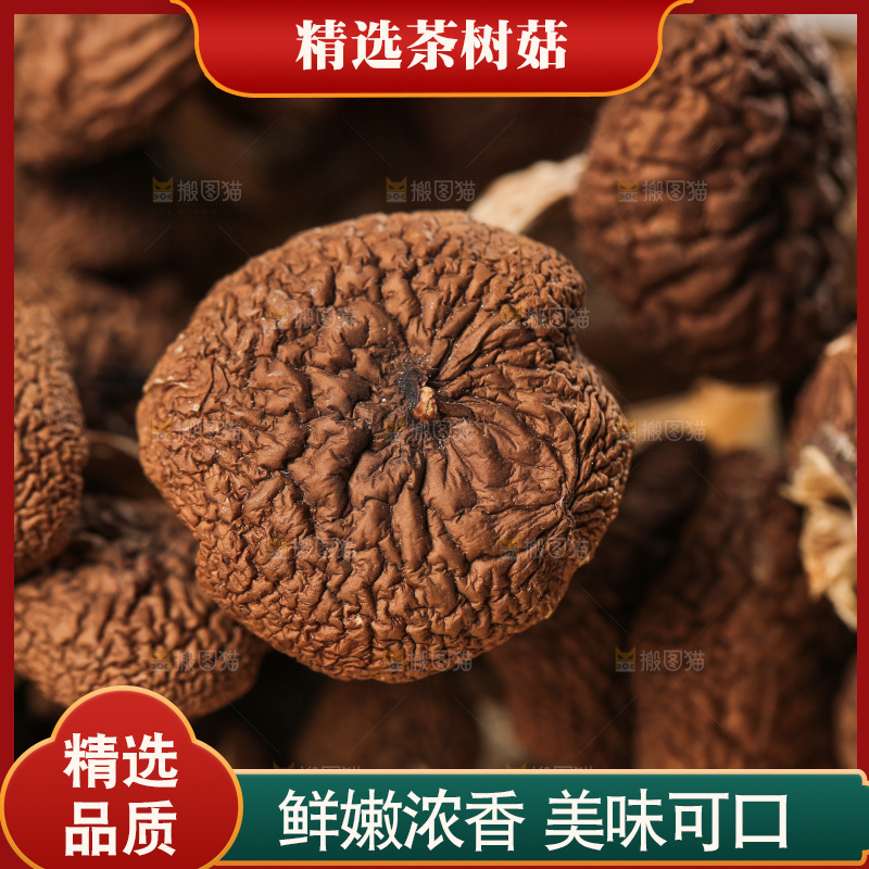 茶树菇