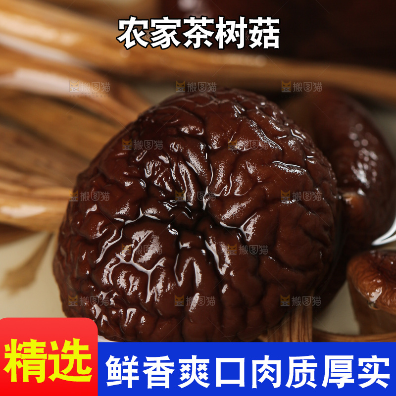 茶树菇