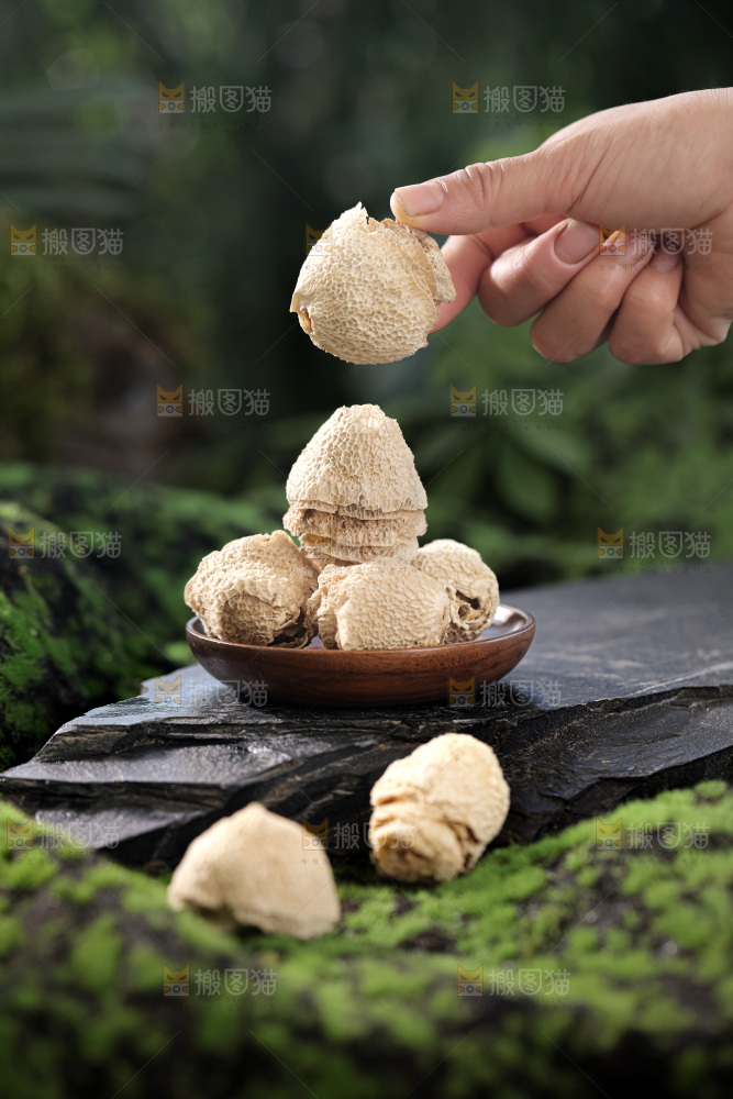 竹毛肚