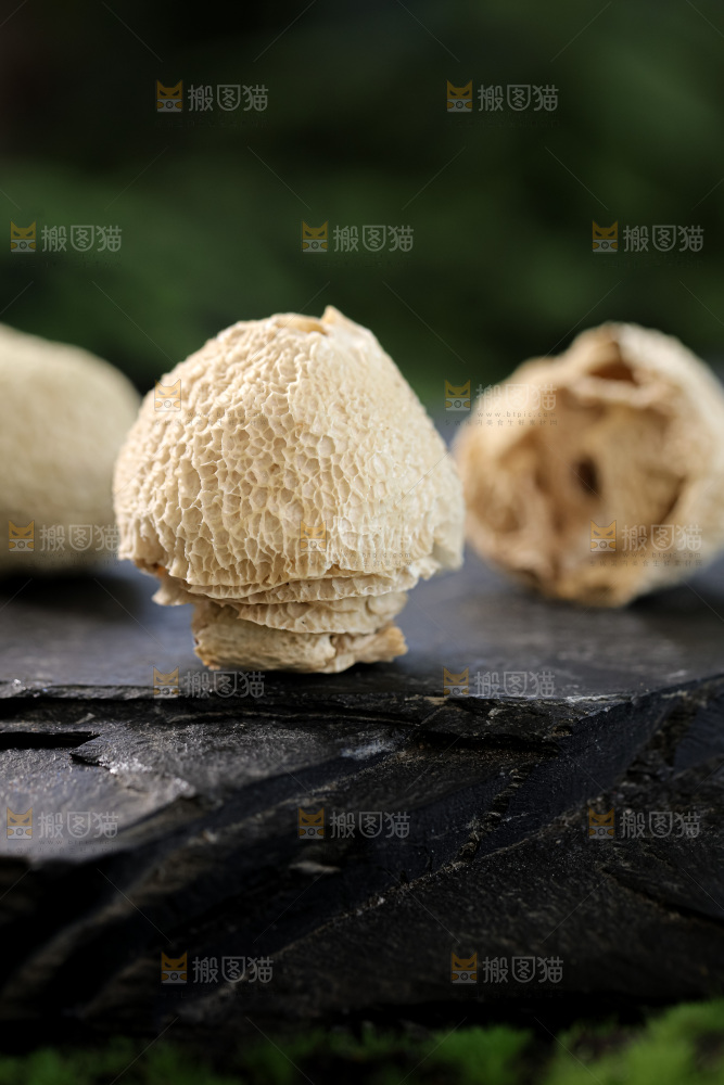 竹毛肚