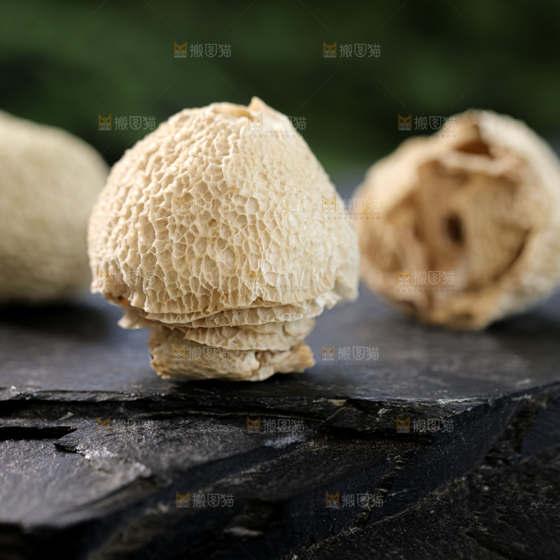 竹毛肚