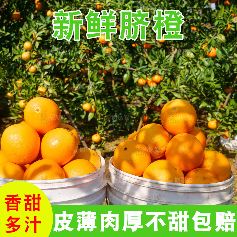 赣南脐橙