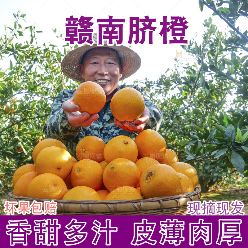 赣南脐橙