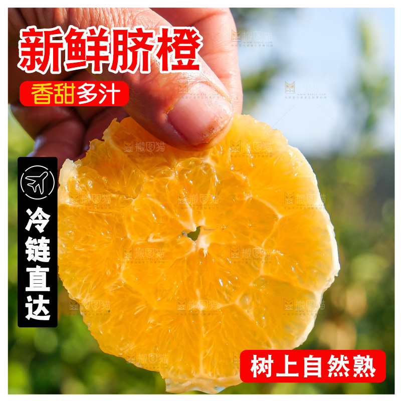 赣南脐橙