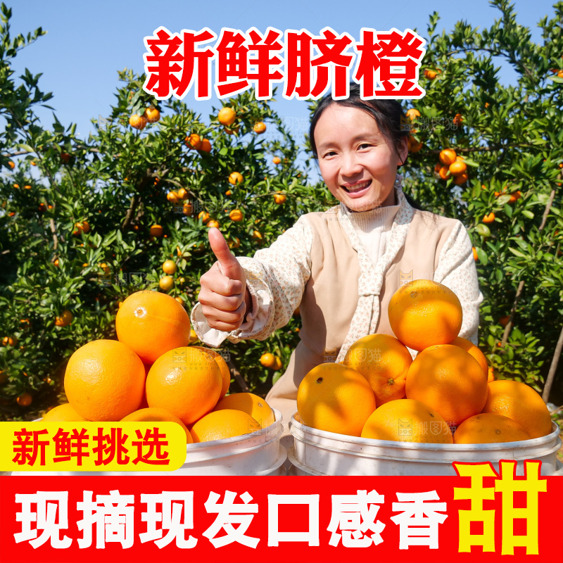 赣南脐橙