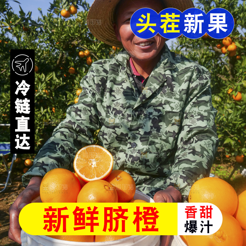 赣南脐橙