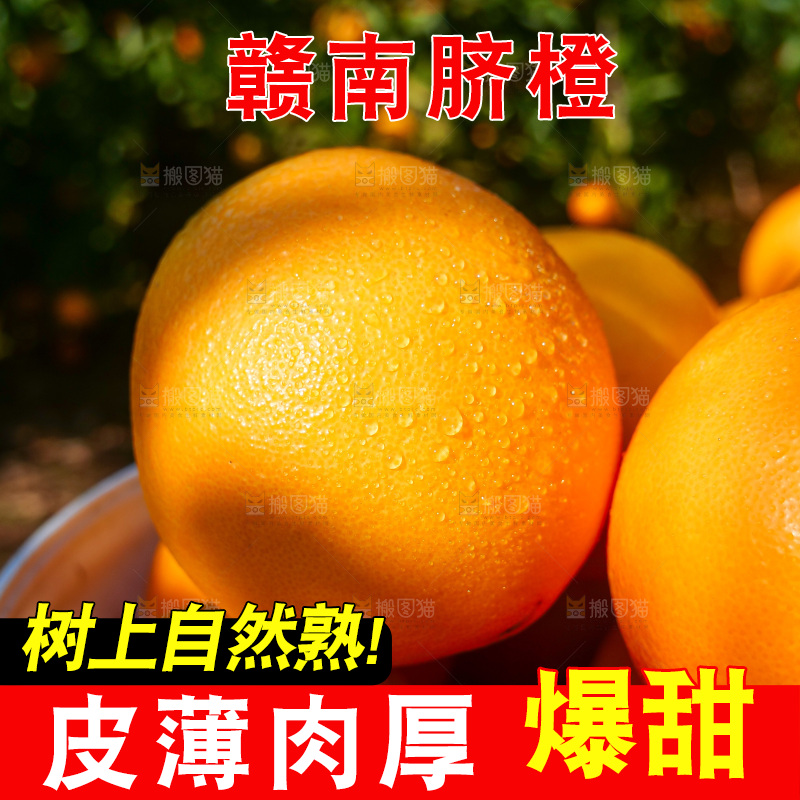 赣南脐橙