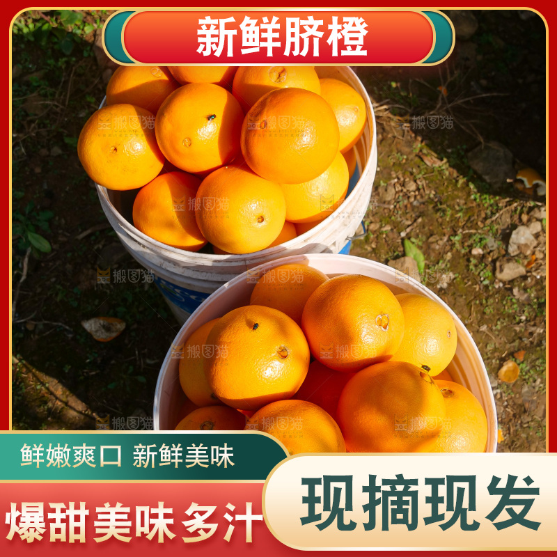 赣南脐橙