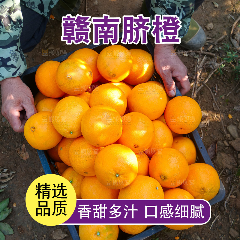 赣南脐橙