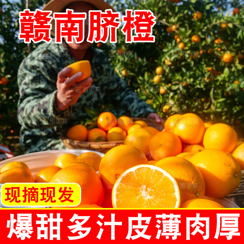 赣南脐橙