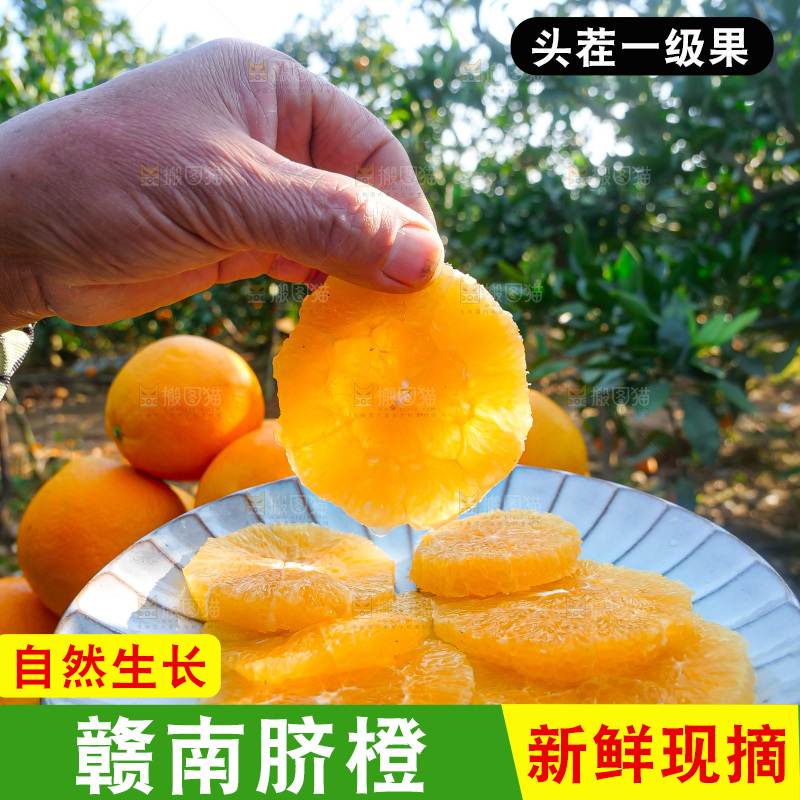 赣南脐橙
