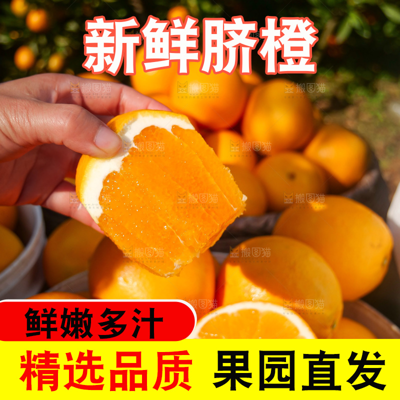 赣南脐橙