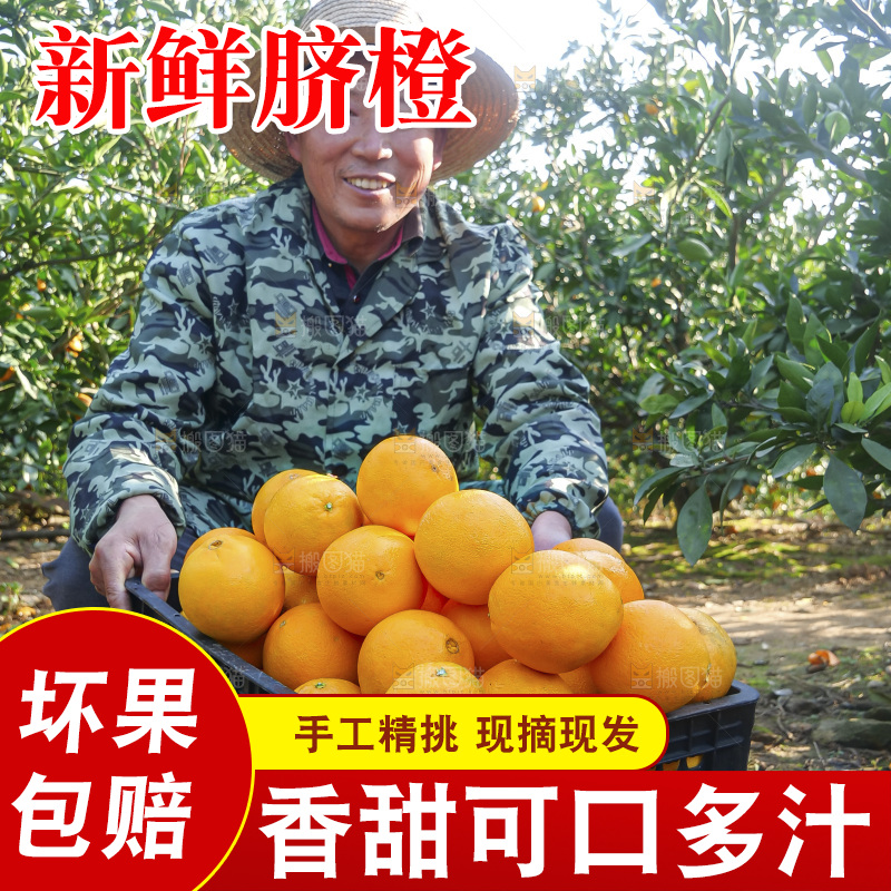 赣南脐橙