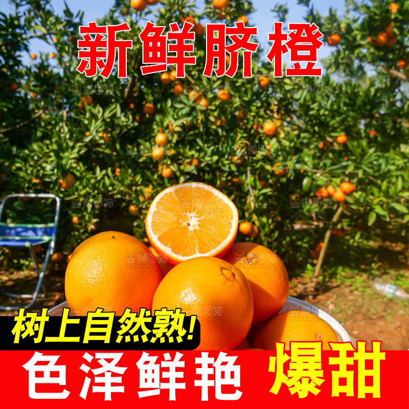 赣南脐橙