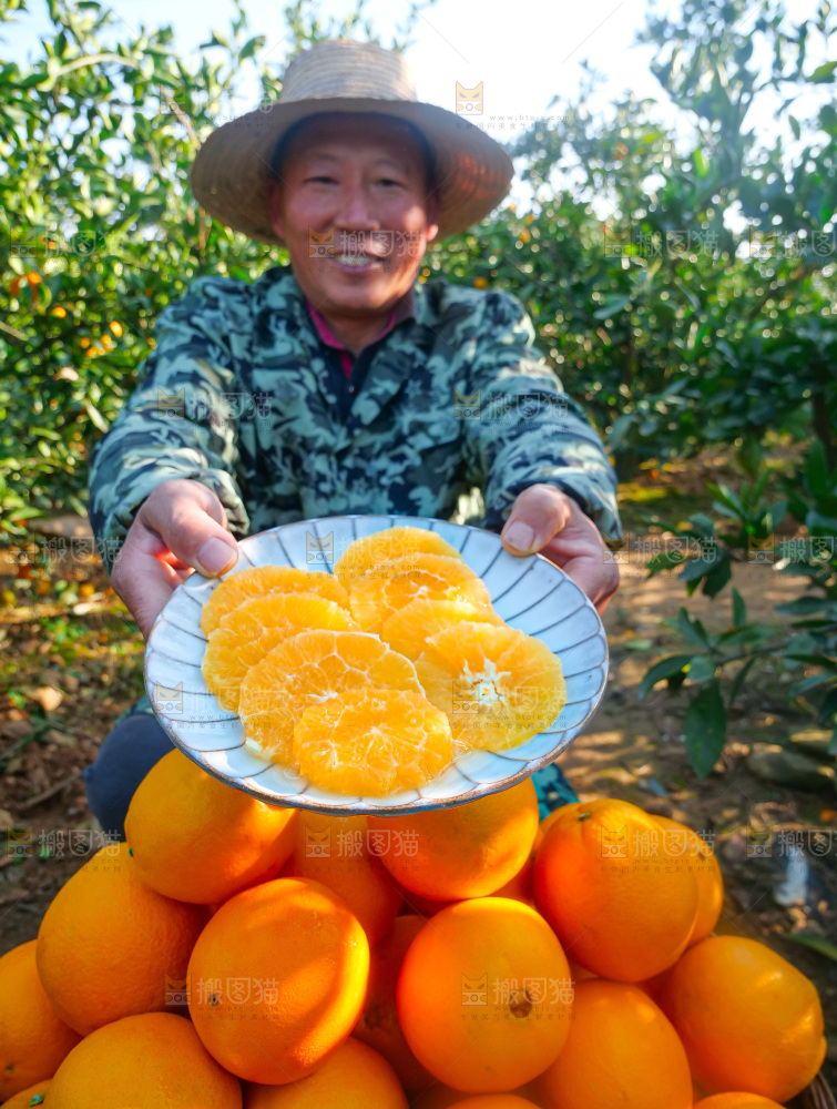 赣南脐橙