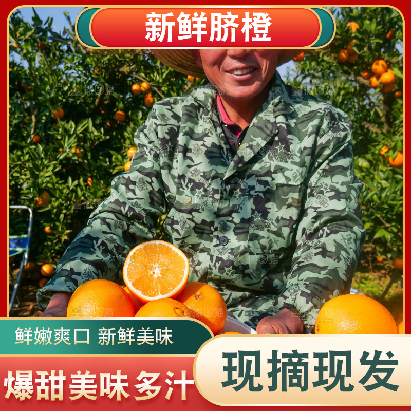 赣南脐橙