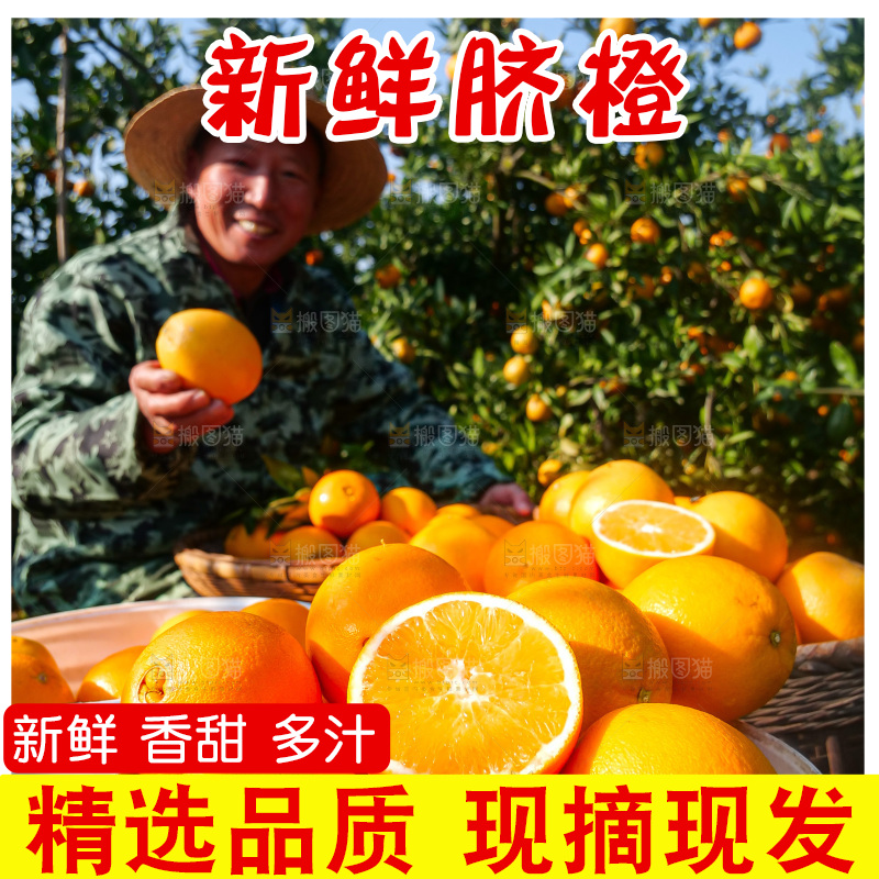 赣南脐橙