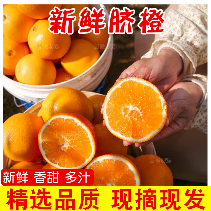 赣南脐橙