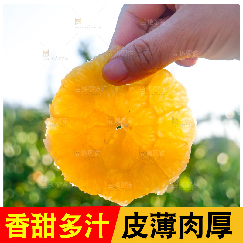 赣南脐橙