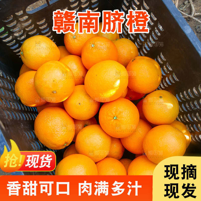 赣南脐橙