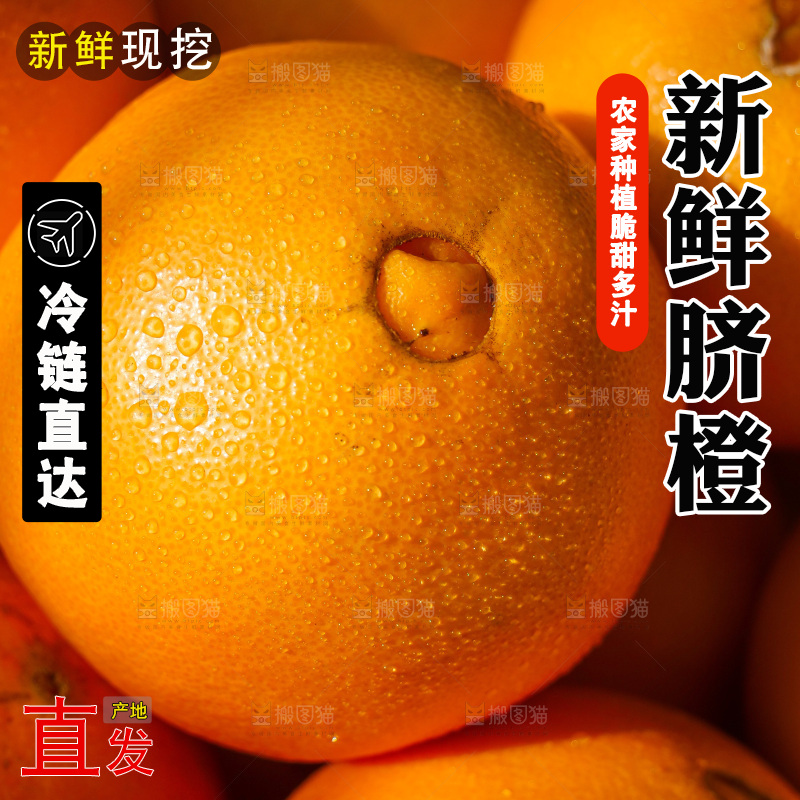 赣南脐橙