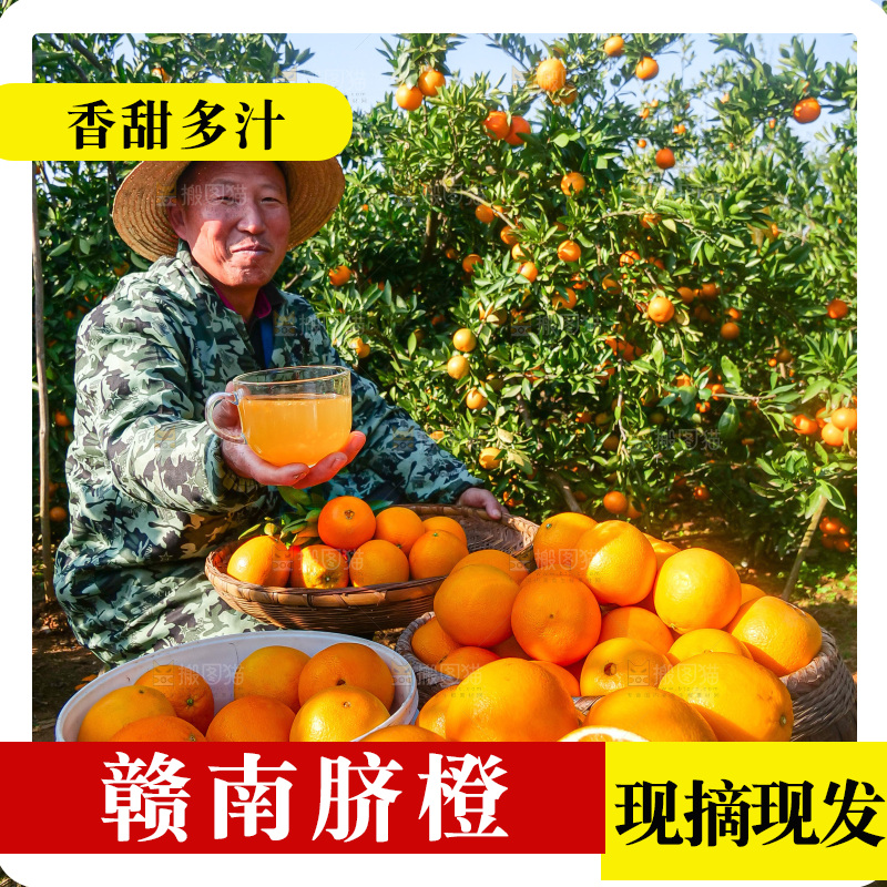 赣南脐橙