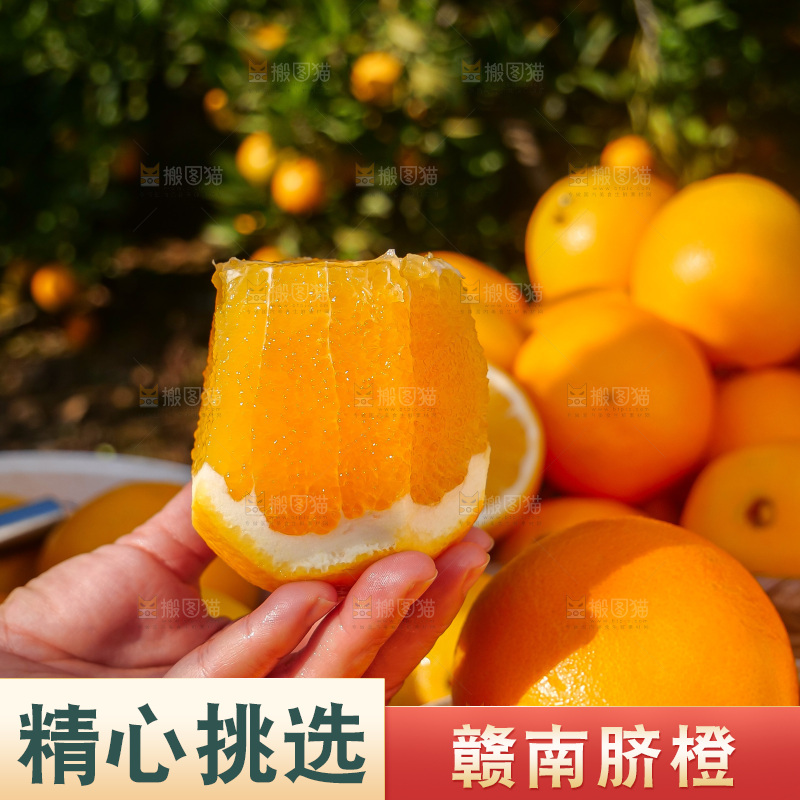 赣南脐橙