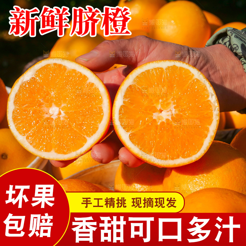 赣南脐橙