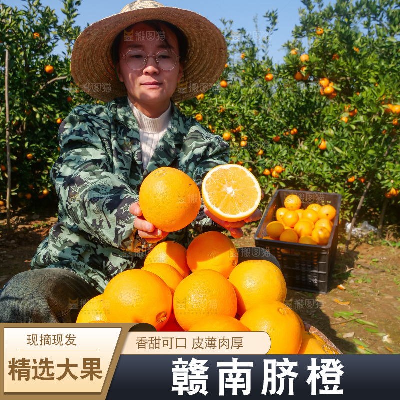 赣南脐橙