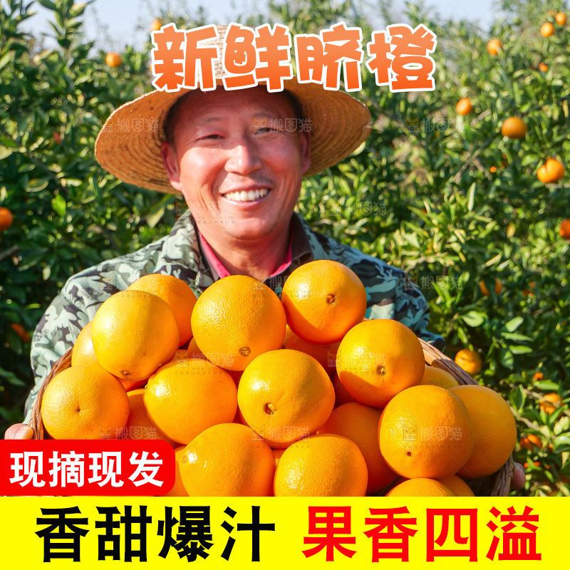 赣南脐橙