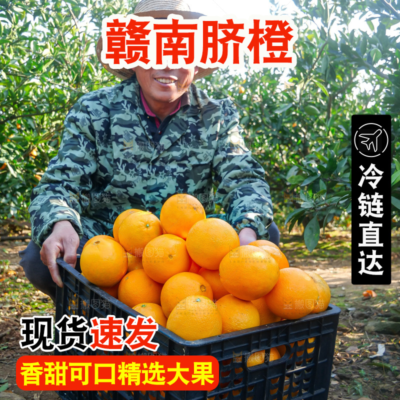 赣南脐橙