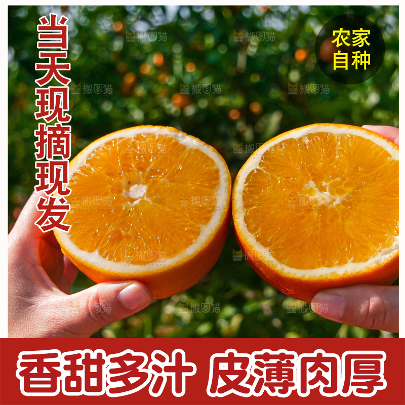 赣南脐橙