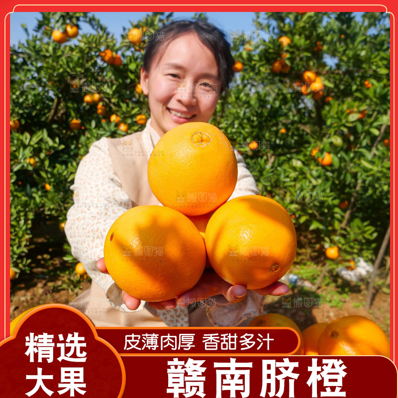 赣南脐橙