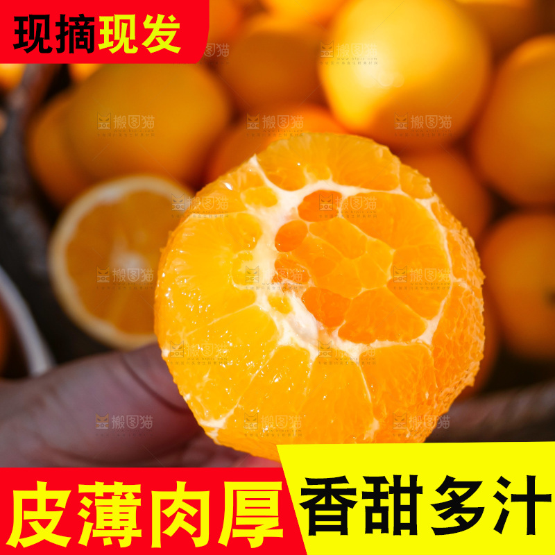 赣南脐橙