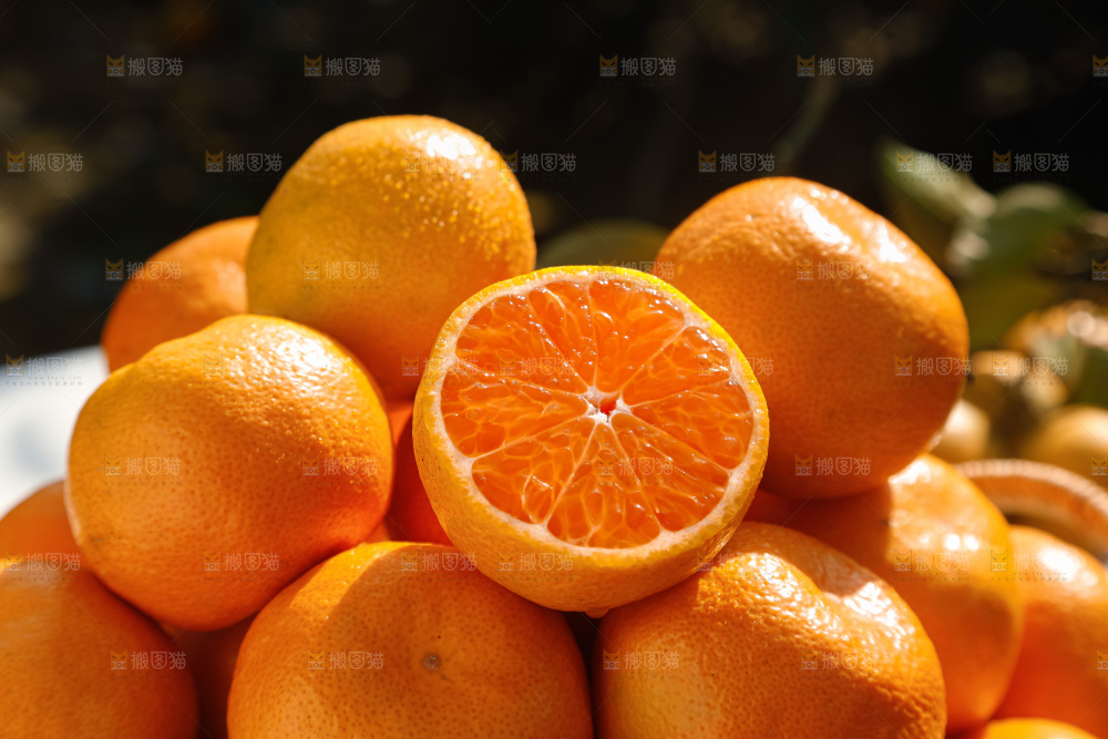 宜昌蜜桔