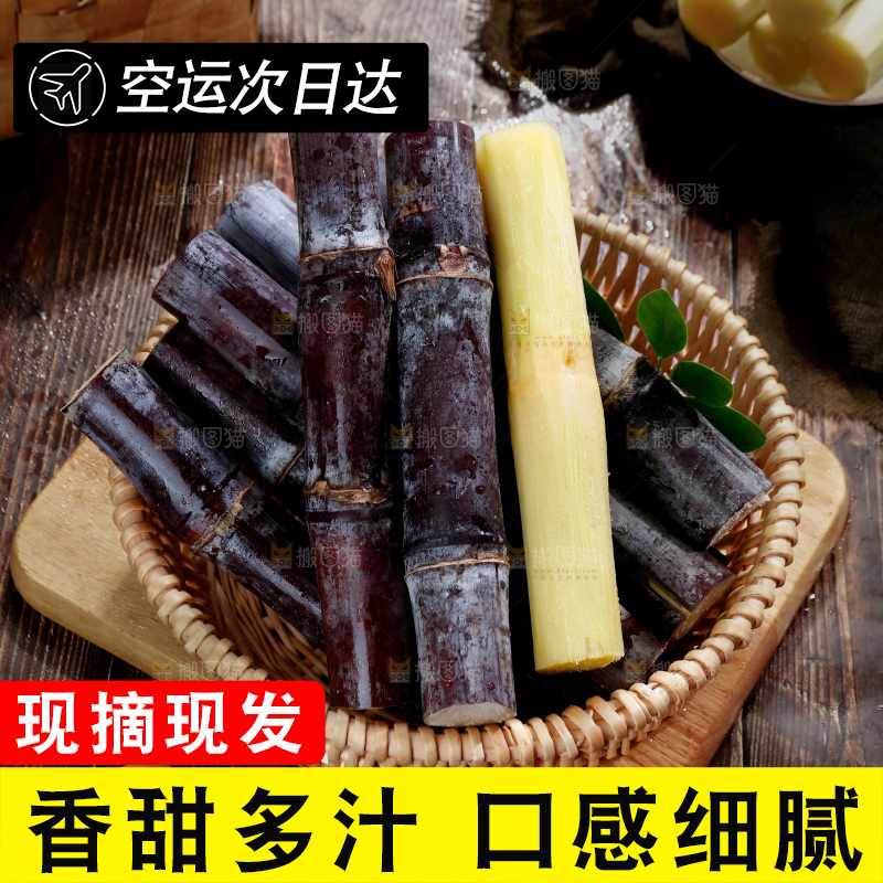 黑皮甘蔗