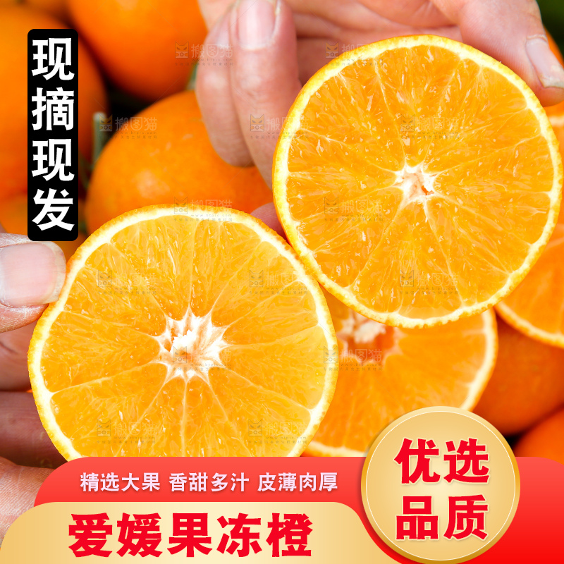爱媛果冻橙