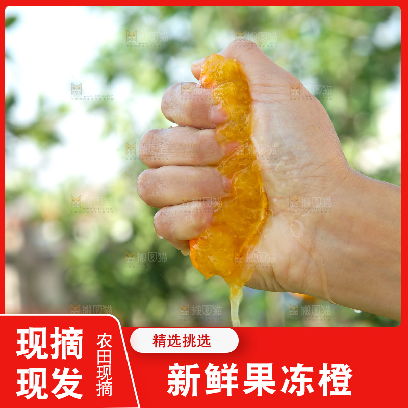 爱媛果冻橙