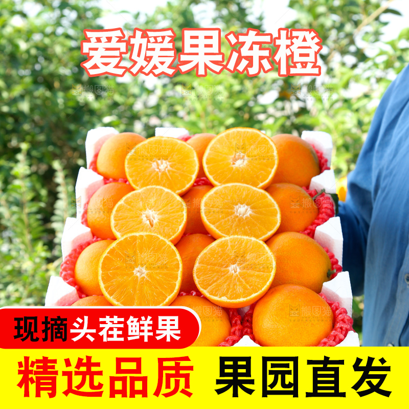 爱媛果冻橙