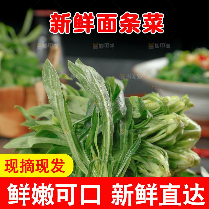 面条菜