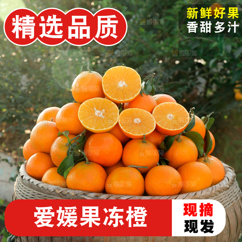 爱媛果冻橙
